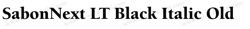 SabonNext LT Black Italic Old Style字体转换